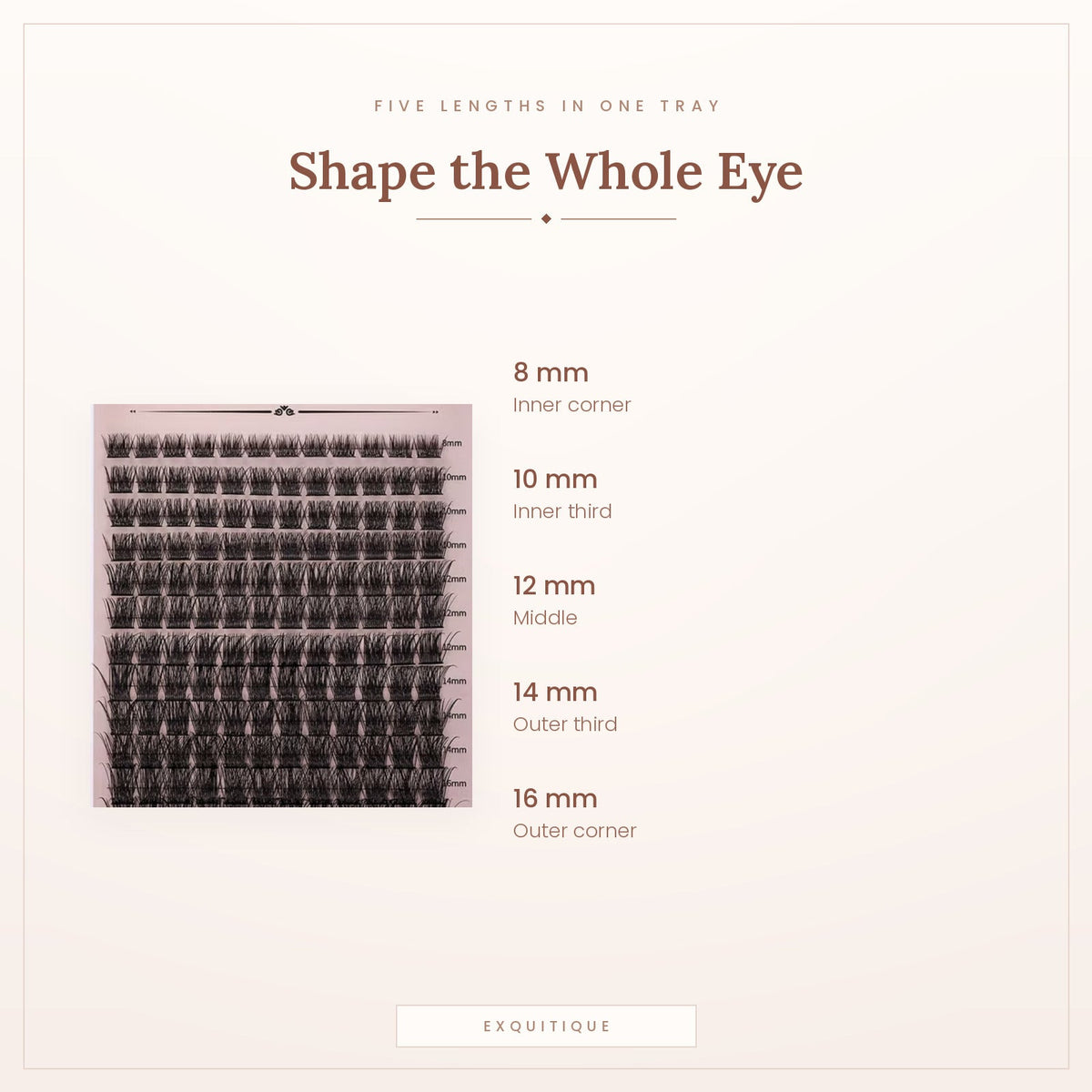 The five cluster lengths and where each one goes on the eye