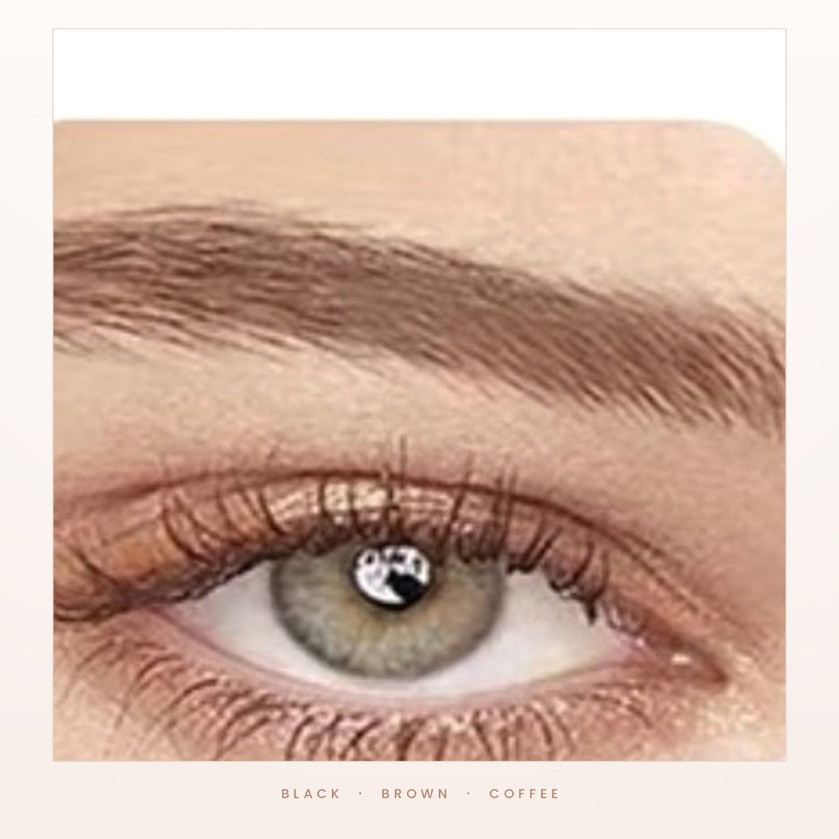 The three shades - black, brown and coffee - shown on brows