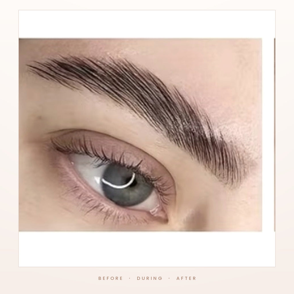 Brows before, during and after lamination