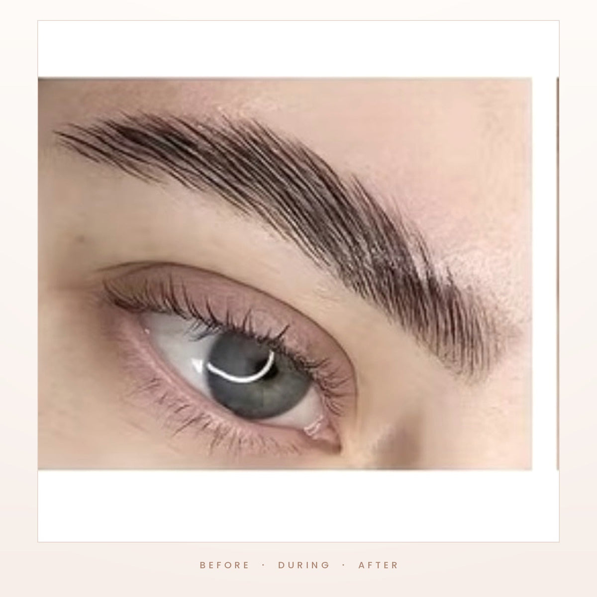 Brows before, during and after lamination