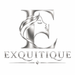 Exquitique - Home